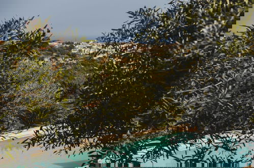 Photo 80 - Tenuta Olive Alive