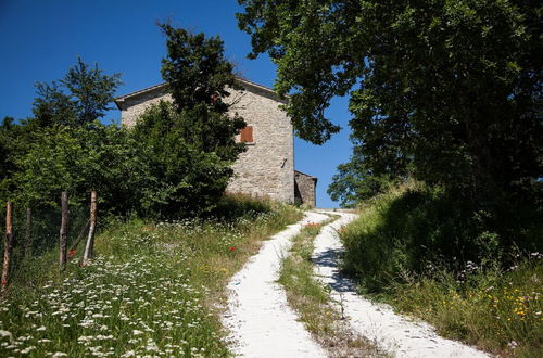 Photo 22 - Casale Belvedere con piscina nel bosco