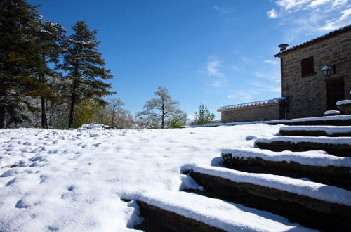 Photo 25 - Casale Belvedere con piscina nel bosco