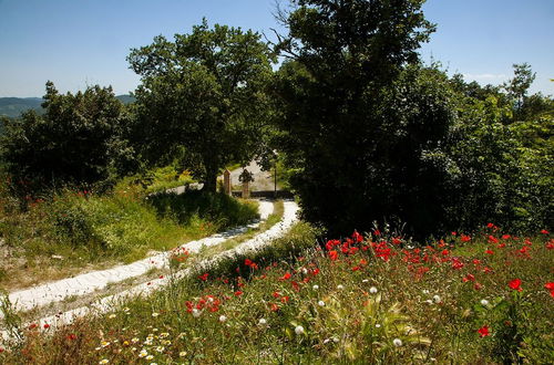 Photo 21 - Casale Belvedere con piscina nel bosco