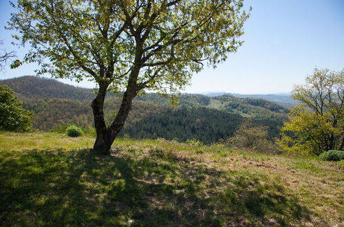 Photo 20 - Casale Belvedere con piscina nel bosco