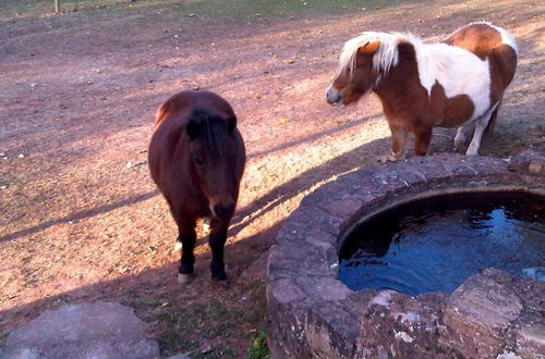 Photo 33 - Le Hameau des Genets