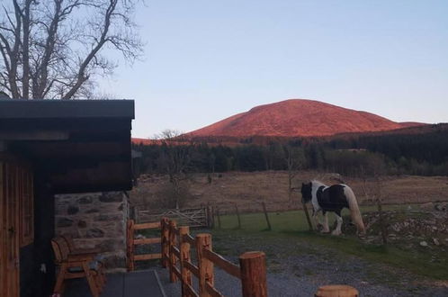 Foto 42 - Luxury Cabin in the Magical Galloway Forest Park