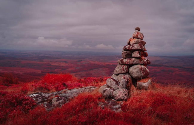 1 Bed Cabin in the Magical Galloway Forest Park - Foto 23
