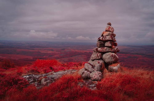 Foto 43 - Luxury Cabin in the Magical Galloway Forest Park