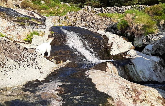 1 Bed Cabin in the Magical Galloway Forest Park - Foto 21