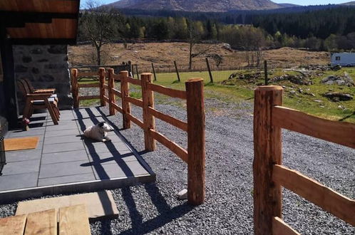 Photo 41 - Luxury Cabin in the Magical Galloway Forest Park