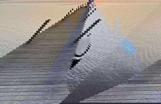 Cube Elite Noteboom 11 - Foto 16