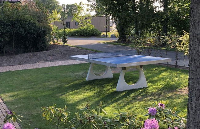 Cube Elite Noteboom 11 - Foto 13