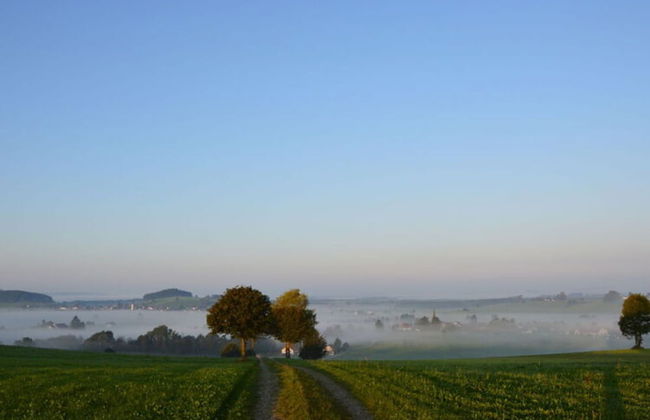 Ferienhof Schonmetzler - Foto 16