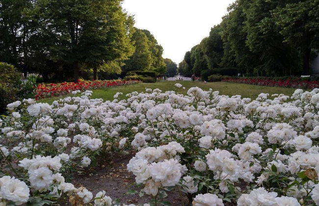 Holiday Apartment Central - Foto 25