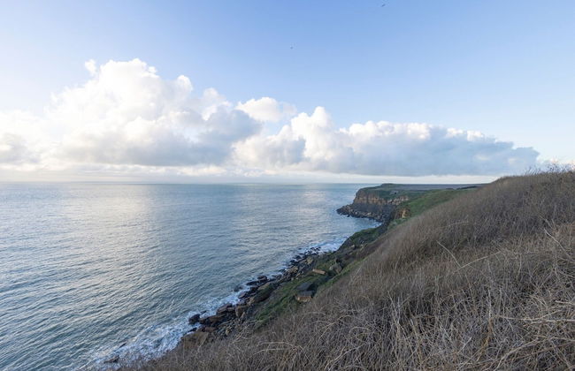 Cosy Cottage a Stone's Throw From Cap Gris Nez - Foto 36