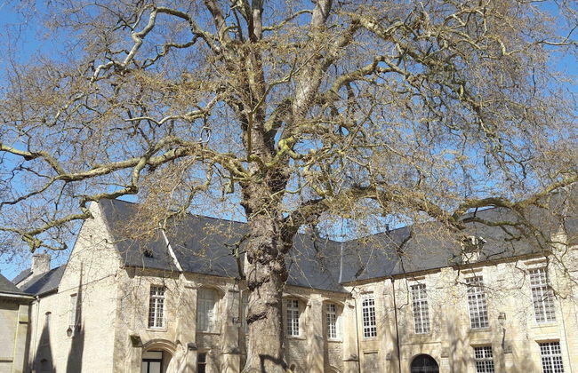 Apartment in the Historic Centre of Bayeux - Photo 20