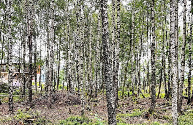 4 Star Holiday Home in Ljungskile - Foto 6