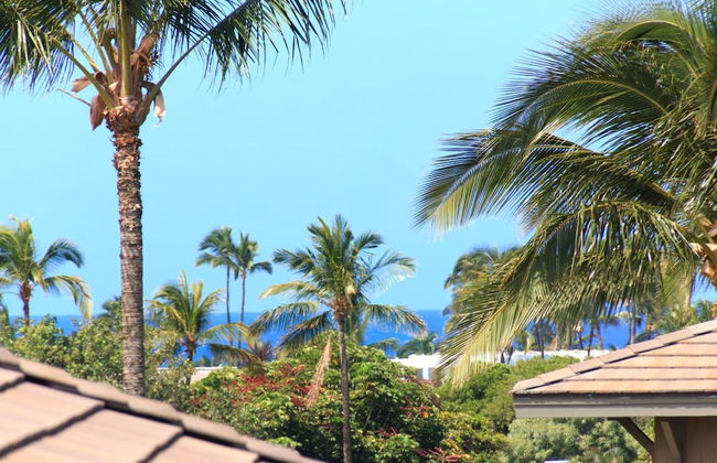 Halii Kai HLI-19G by KBM - Foto 10