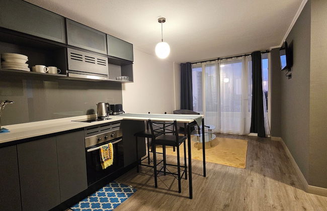 Oceana Suites Briones Luco - Foto 5