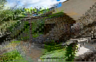 Photo 1 - S Hort De Sa Bagura - Sa Soll