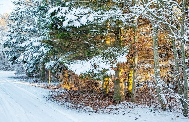 5 Person Holiday Home in Orsted - Foto 12