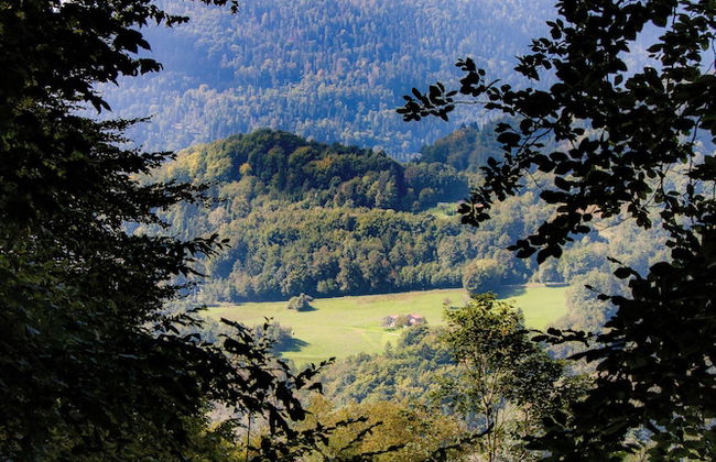 CasaZefira - Foto 34
