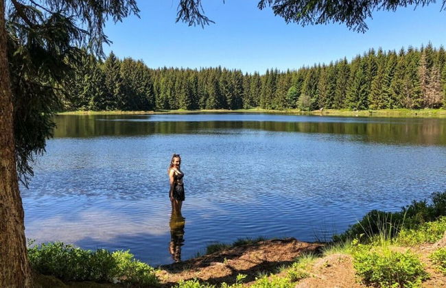 Panoramic View of Lake Harz - Foto 23