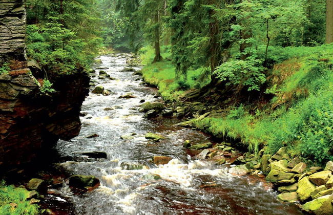 Holiday Home Am Dachsberg - Foto 13