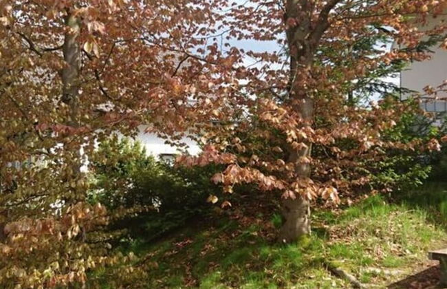 Holiday Home Am Dachsberg - Foto 16