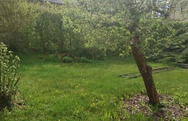 Holiday Home Am Dachsberg - Foto 17