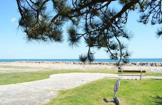 Casa de 3 quartos em Saint-Cyprien com jardim e terraço - Foto 43