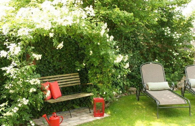 Reethus Star Kicker - Foto 25