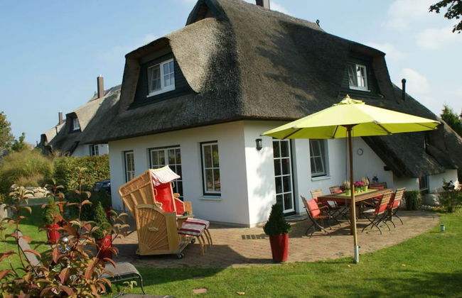 Reethus Star Kicker - Foto 22