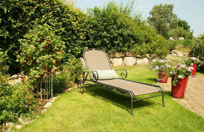 Reethus Star Kicker - Foto 23