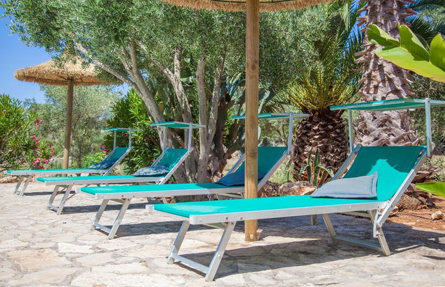 Can Pina - Adults Only Eco Groc - Foto 5