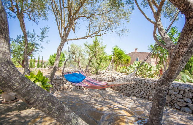 Can Pina - Adults Only Eco Groc - Foto 13