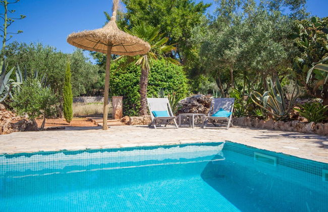 Can Pina - Adults Only Eco Groc - Foto 3