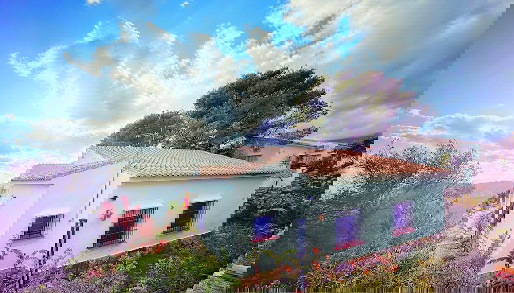 Image principale