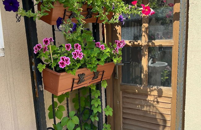 Ariya Yıldız - Foto 30