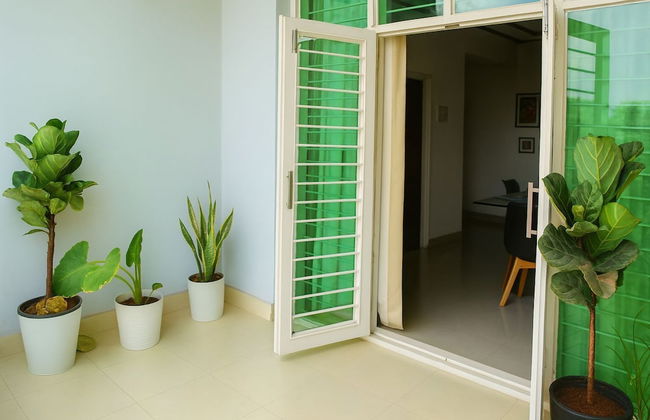 White Fern Stays - Photo 52