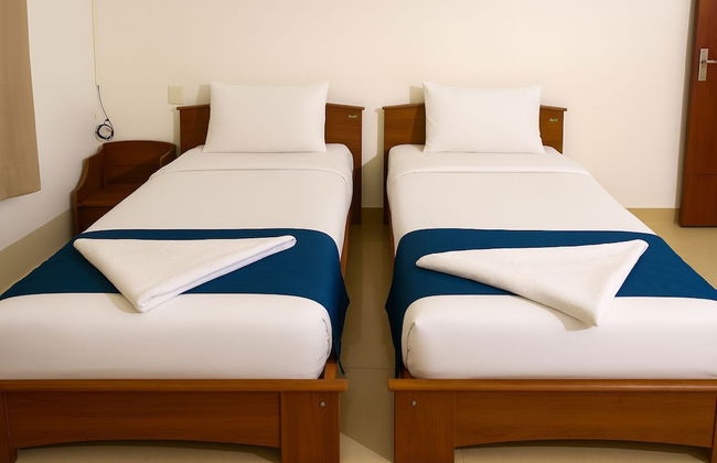 White Fern Stays - Photo 17