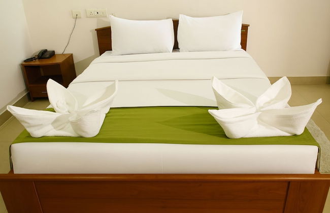 White Fern Stays - Photo 18