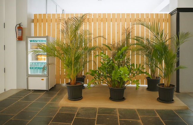 White Fern Stays - Photo 65