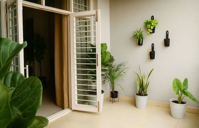 White Fern Stays - Photo 53