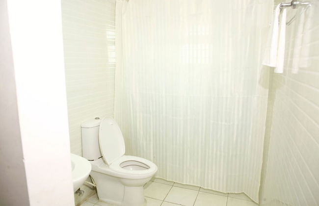 White Fern Stays - Photo 56