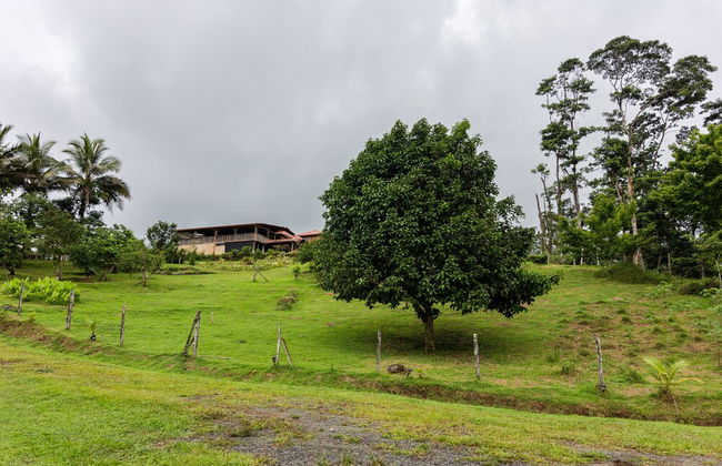 La Finca Azul - Foto 53