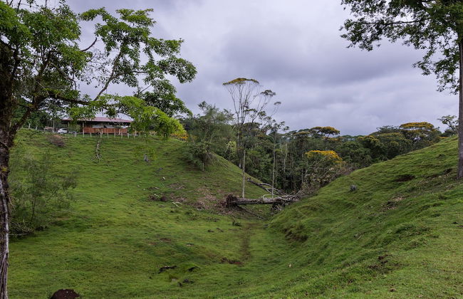 La Finca Azul - Foto 74