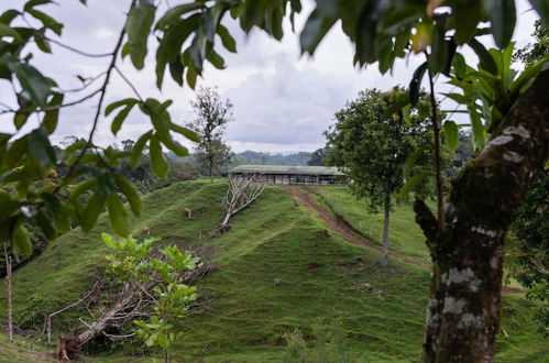 Photo 50 - La Finca Azul