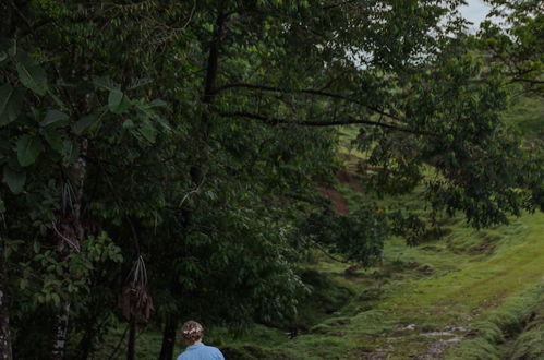 Photo 52 - La Finca Azul