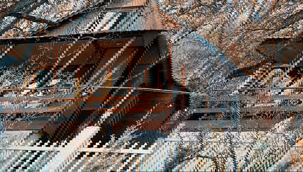 Image principale
