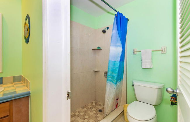 Thatch Hill - Foto 7