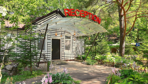 Rezeption