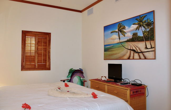 Tara Del Sol - Foto 17